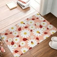 thumbnail image 5 of Daiia Daisy and Ladybug Front Door Mat, Heavy Duty Durable Welcome Mat for Outdoor Indoor, Dirt Trapper Waterproof Super Absorbent Door Mat, 16" x 24", 5 of 9