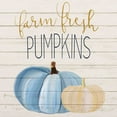 thumbnail image 2 of Allen, Kimberly 15x15 Black Ornate Wood Framed with Double Matting Museum Art Print Titled - Farm Fresh Pumpkins, 2 of 4