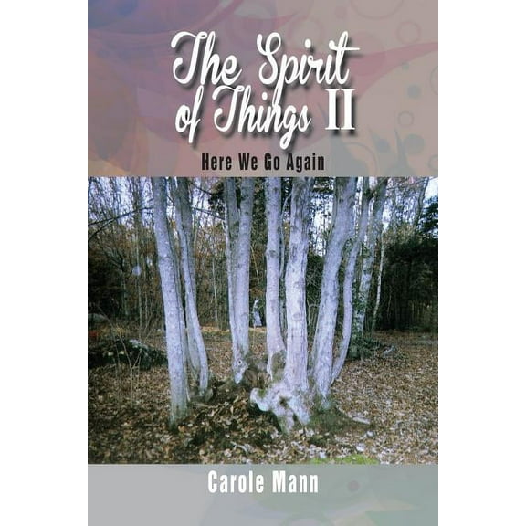 The Spirit of Things II : Here We Go Again (Paperback)