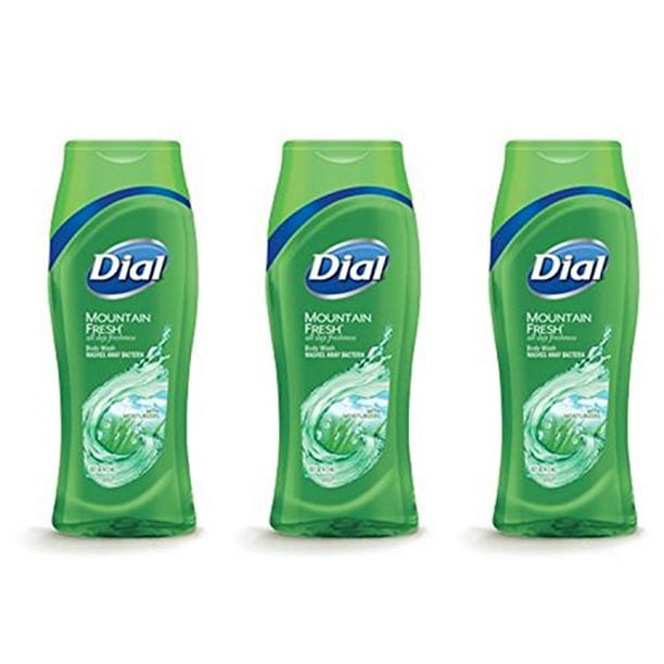 Dial Clean and Refresh Wash Away Bacteria Mountain Fresh Body Wash, 16 Ounce (Pack of 3