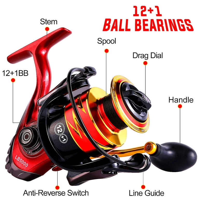Sougayilang Fishing Reel, Ultralight Smooth Power 12+1 BB Spinning Reel  with 5.5:1 High Speed Gear Ratio for Freshwater and Saltwater