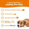 thumbnail image 6 of Zesty Paws Calming Plus Bites for Dogs, Turkey 60ct, 6 of 8