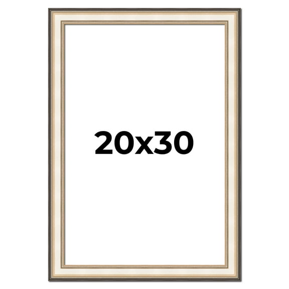 20x30 Frame Gold Silver Plein Aire 2" Inch Wide Moulding Solid Wood Picture Frame | Modena