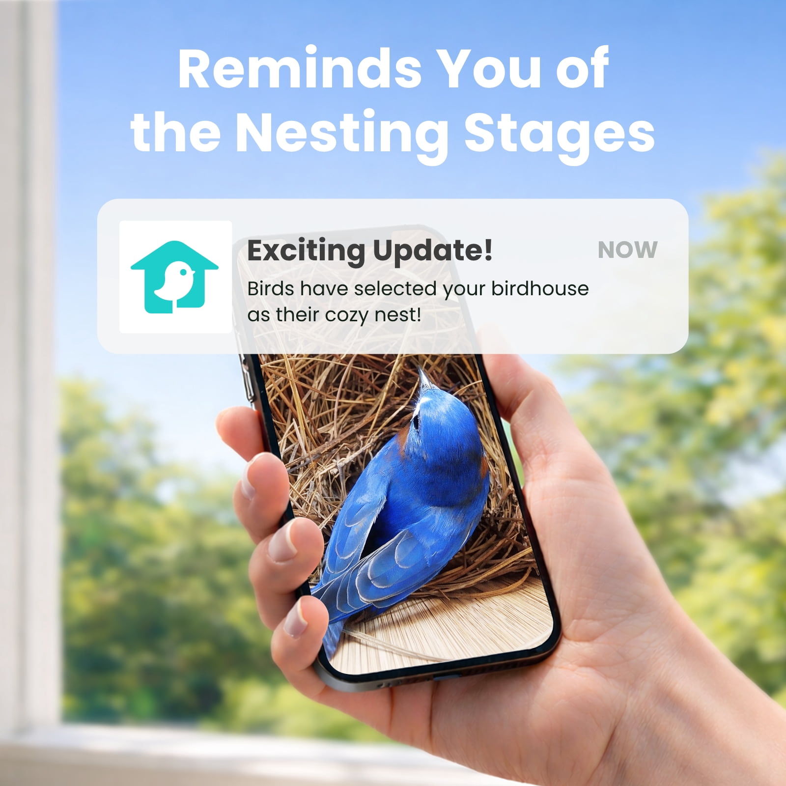 Birdfy Smart Bird Houses for Outside Solar Powered, 1080P HD Live View Bird House with Camera, Perfect Viewing Bird Nesting and Hatching, Bird Feeder with Camera for Most Birds