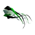 thumbnail image 3 of Cometa Voladora Suave, Fácil de Usar, Decoración Versátil, Cometa Giratoria Clásica con Cola, Cometa Giratoria para Actividades en Parques, Playas Y P Negro Verde, 3 of 8