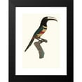 thumbnail image 2 of Jacques Barraband 14x18 Black Modern Framed Museum Art Print Titled - Aracari, Double Belt. (1806), 2 of 5