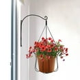 thumbnail image 1 of CIMAXIC 2Ud Para Plantas De Pared En Hierro Negro Para Uso Interior Y Exterior Multifuncional, 1 of 8
