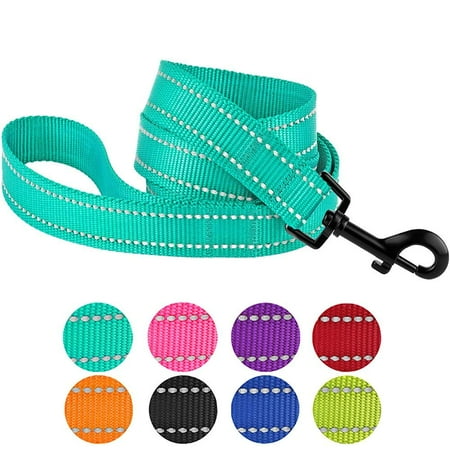 Reflective Dog Leash Safety Nylon Leashes for Medium Dogs Heavy Duty Lead, Mint (Best Dog Leash With Light)