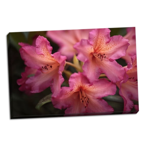 Gango Home Decor Exotic Rhodies IV by Rita Crane (Ready to Hang); One 36x24in Hand-Stretched Canvas