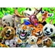 thumbnail image 1 of Rompecabezas Ravensburger con animales exóticos para selfies, 300 piezas, 1 of 6