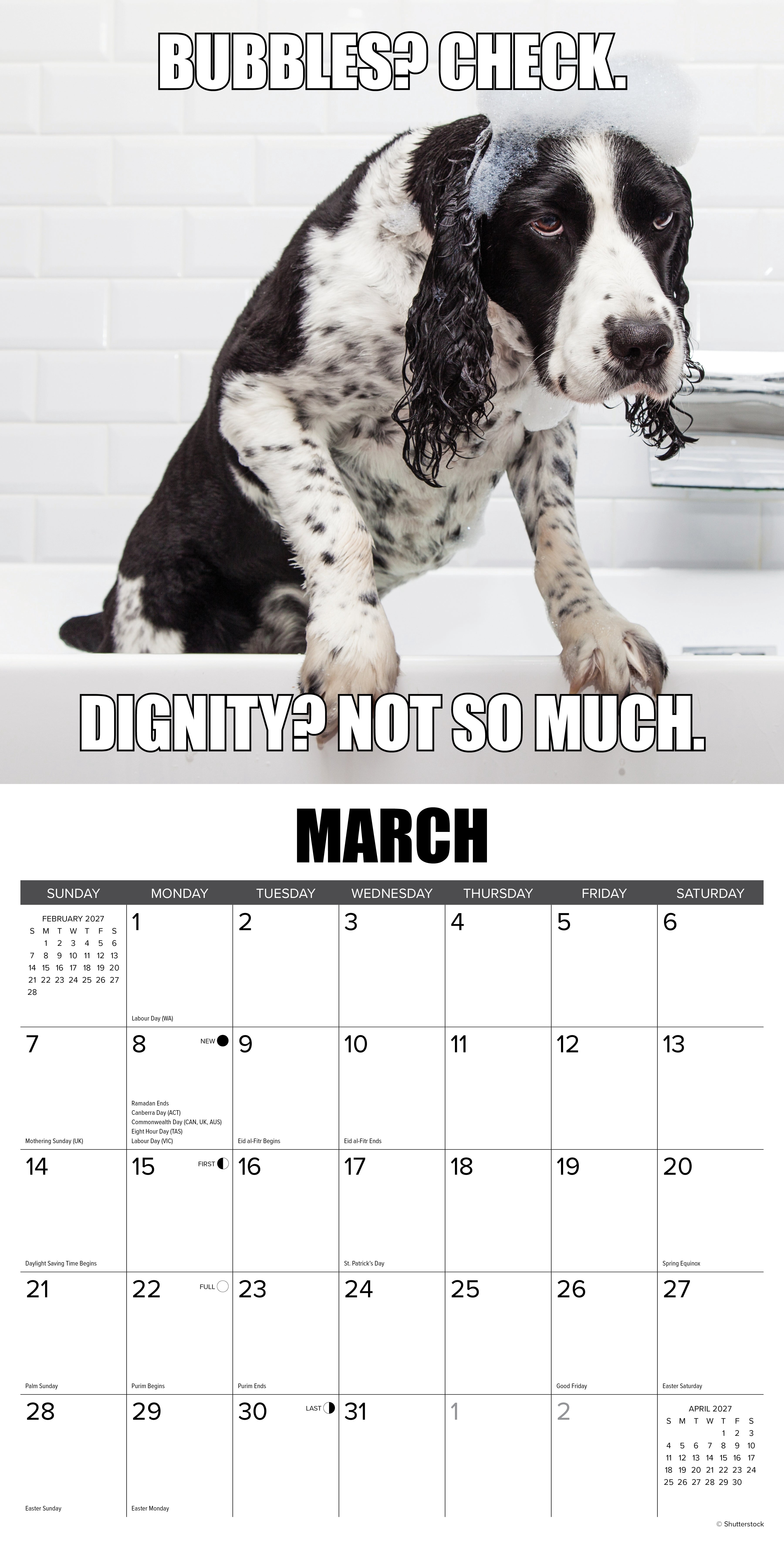 Willow Creek Press, Not So Pawsitive 2027 Wall Calendar