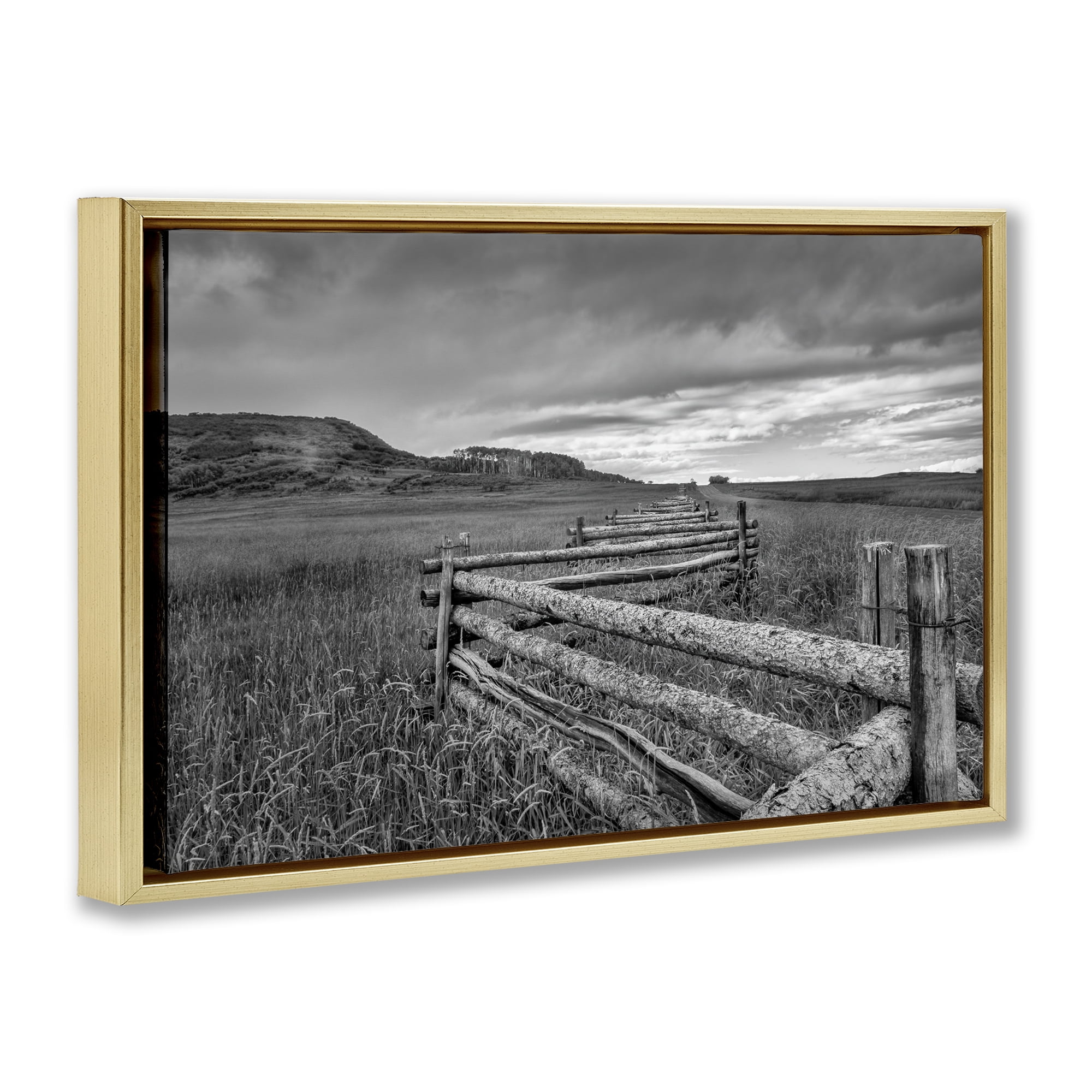 Stupell Industries Weathered Fence to Distant Horizon Gold Framed Floater Canvas Wall Art, design by Jon Evan