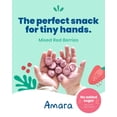 thumbnail image 3 of Smoothie Melts - Mixed Red Berries - Baby Snacks Made With Fruits and Vegetables - Healthy Toddler Snacks For Your Kids Lunch Box - Organic Plant Based Yogurt Melts - 6 Resealable Bags, 3 of 5