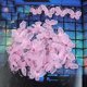 thumbnail image 2 of 100pcs Malla De Cable Decoración Artesanal Brillo De La Media Mariposas Boda SM SunniMix Mariposa, 2 of 8