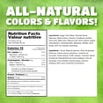 thumbnail image 2 of Bubblegum Kids Nickelodeon Slime Liquid Filled Gumballs, Gelatin-Free Gumball Candy, Green Apple Flavor, 100 Count, 2 of 6