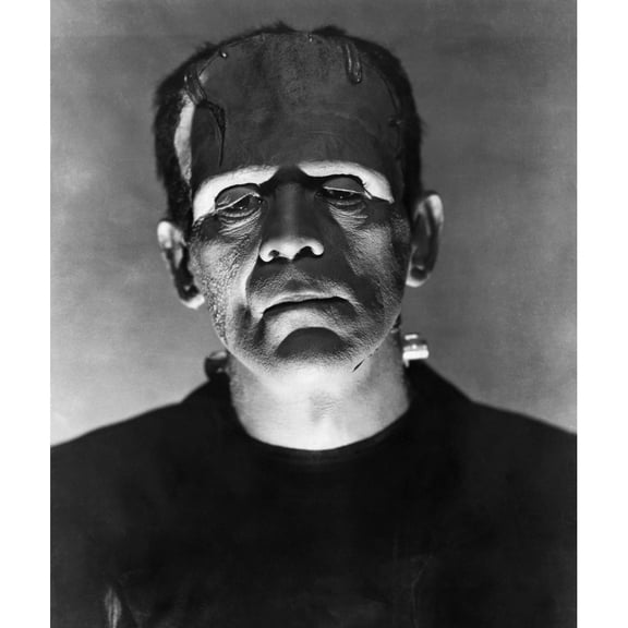 Bride Of Frankenstein Photo Print (16 x 20)