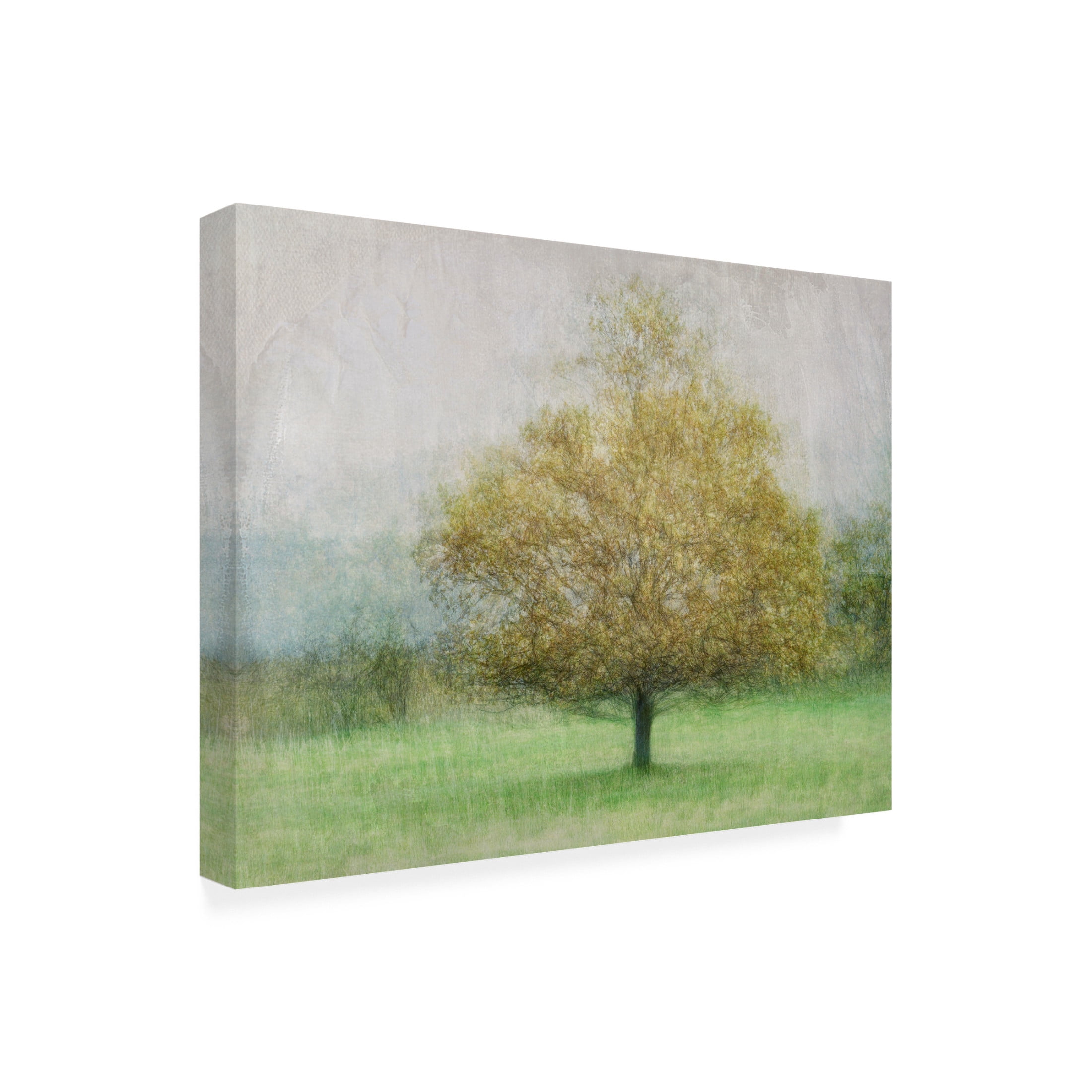 Canvas Wall Art - Katarina Holmstrom 'Solitaire' Wall Art for Living Room, Bedroom, or Office Décor by Trademark Fine Art - 32 x 24 Inches