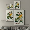 thumbnail image 4 of Bird in Habitat V Premium Gallery Wrapped Canvas - Ready to Hang, 4 of 9