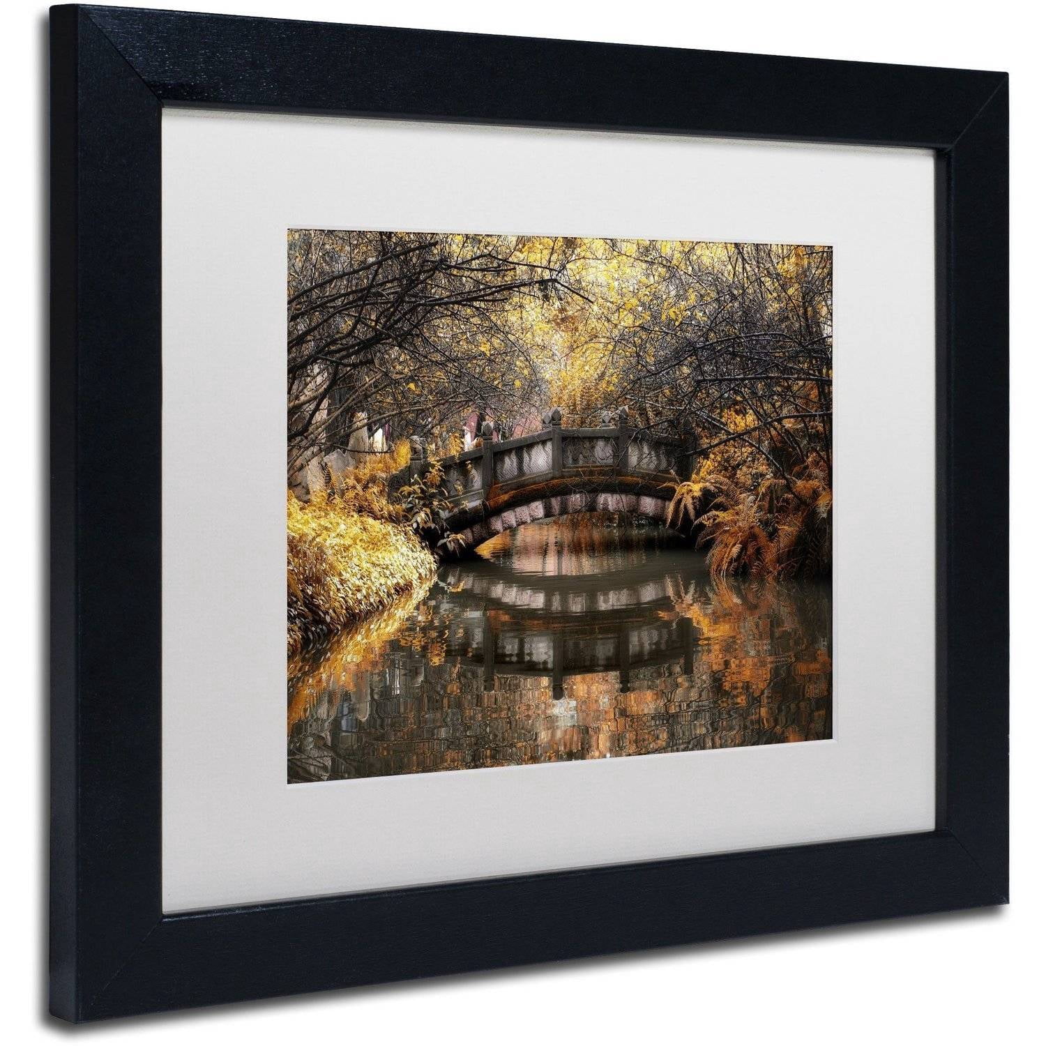 Trademark Fine Art "Dream Fall" Canvas Art by Philippe Hugonnard, White Matte, Black Frame