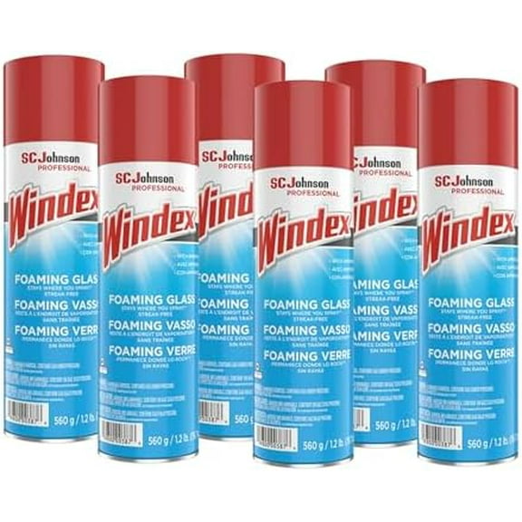 Windex Foaming Glass Cleaner, Fresh, 20 oz Aerosol Spray, 6/Carton (333813)