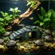thumbnail image 5 of Cueva de árbol artificial para reptiles con terraza de asoleo y cuevas ocultas para tortugas, lagartos y recintos de reptiles, verde, plástico, múltiples tamaños, 5 of 6