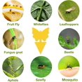 thumbnail image 6 of 40 Pack Fungus Gnat Traps for House Indoor, Fungus Traps Fruit Fly Traps for Indoors Gnats Sticky Traps for Plants Yellow Sticky Traps for Gnats, 6 of 8