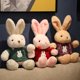 thumbnail image 2 of Conejo de peluche de 40cm para niños, juguete suave con capucha, almohada, regalo de cumpleaños, 2 of 5