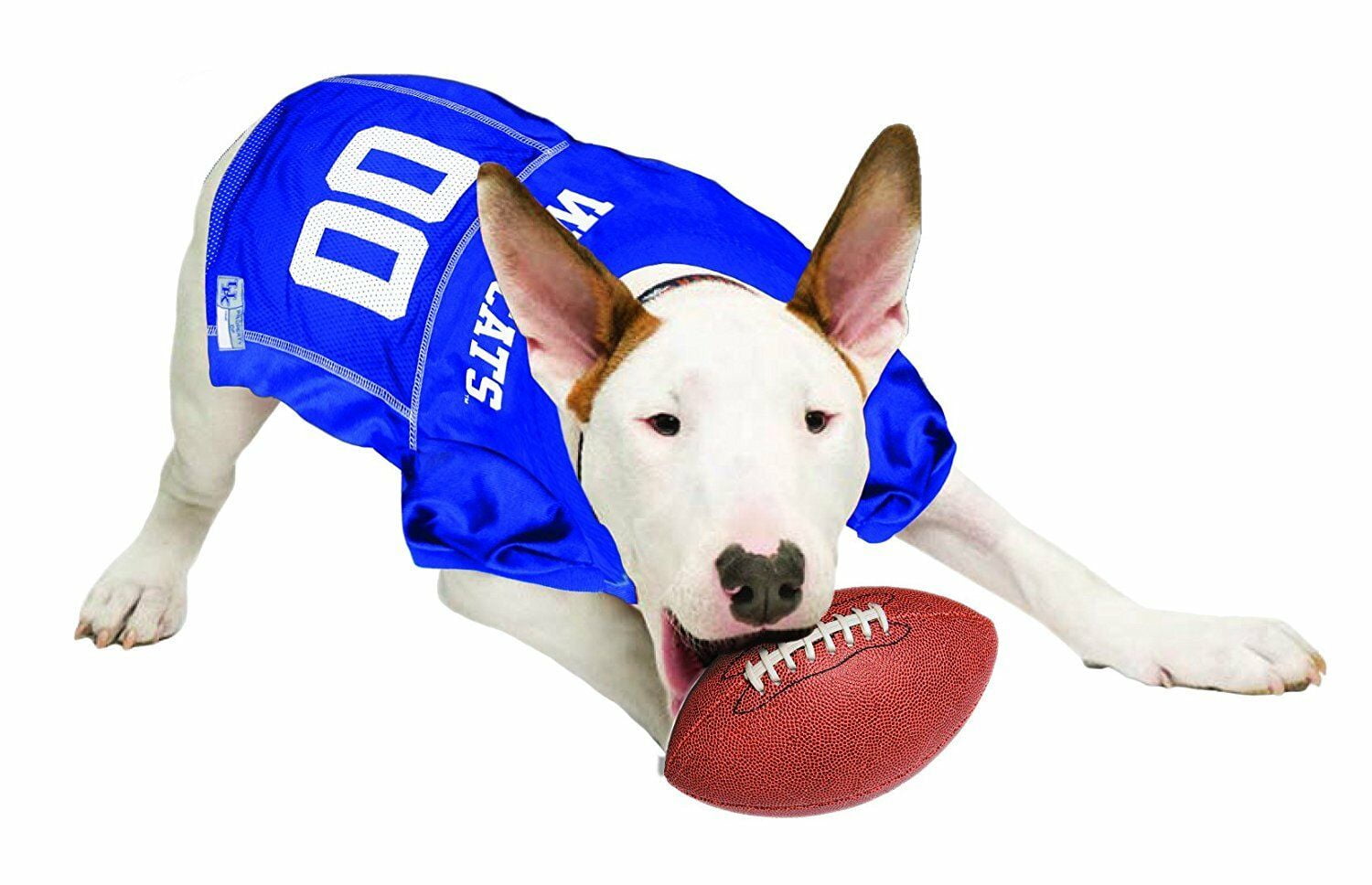 Pets First Collegiate Kentucky Wildcats Football/Basketball Mesh Jersey for Pet Dog. available in 40+ Teams - Small