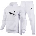thumbnail image 3 of Conjunto de ropa deportiva de lujo para hombre, Sudadera con capucha y pantalones para correr, para actividades al aire libre, novedad de 2024, 3 of 5