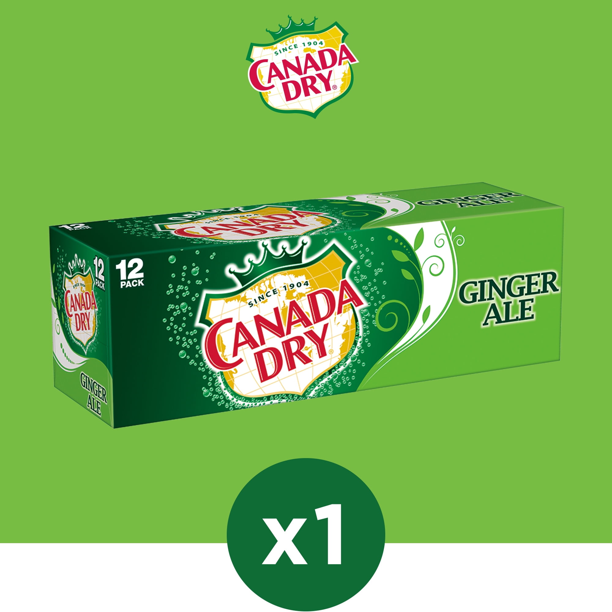 Dry Ginger Ale Soda, 12 fl oz cans, 12 pack - Walmart.com
