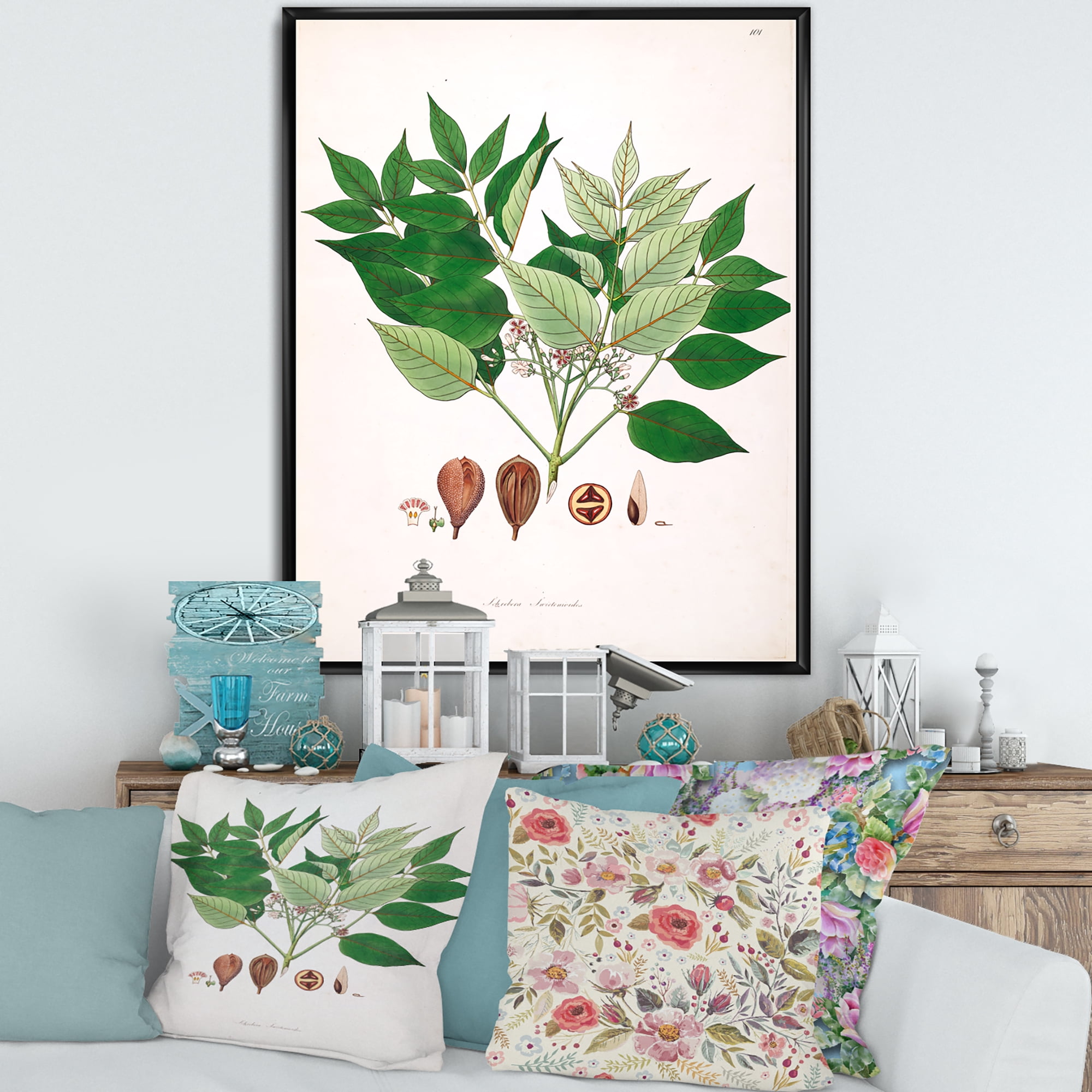 Designart 'Ancient Plant Life XII' Farmhouse Framed Canvas Wall Art Print