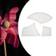 thumbnail image 3 of Regla tchwork, herramienta con y hoja redonda, plantilla ada DIY acrílica S Hugo Plantilla de acolchado, 3 of 10