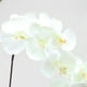 1pc Orchidée Artificielle Fleur de Simulation de Tige Fleur; Faux Plantes de Fleurs 7 Tête Tissu Simulation Fleur Maison Décoration de Mariage Fête – image 5 sur 6