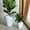 White, variant on 2-Pack 10 in.Dark Wood Plastic Self-watering Planter Pot