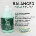 thumbnail image 2 of KESMEDIK Tea Tree Oil Shampoo MaxTherapy, Clarifying Deep Clean for Buildup, Dandruff & Cools Refreshes Itchy Scalp, Sulfate-Free for Oily Hair, Women & Men, 16 fl oz, 2 of 7