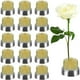 thumbnail image 2 of 32 Piezas de Ranas de Flores Kenzans Pin Floral Redondo Ranas Florero Arreglo Floral Pin Rana Herramientas Fijas (0.9 Pulgadas), 2 of 5