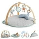 thumbnail image 1 of Gimnasio Ingenuity Cozy Spot Reversible Juguetes Ingenuity Cozy Spot, 1 of 7