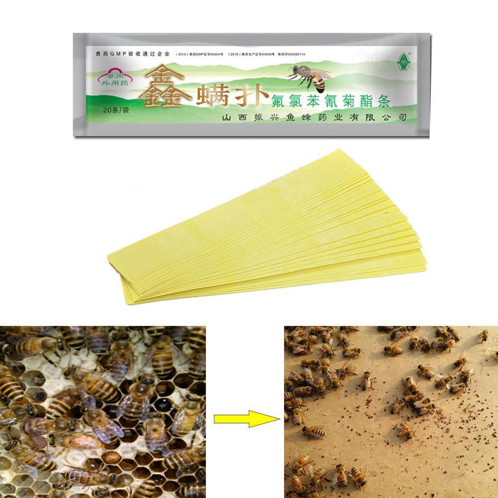 20pcs Beekeeping Mite Killer Tool Set Pest Control Varroa Strip Set Beekeeping 