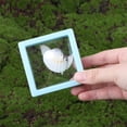 thumbnail image 5 of Triani 9Pcs Seashell Holder 3D Floating Display Box for Storage Display Shelf Room Coastal Decor 2.7 x 2.7 Inches Transparent Display Box Stackable for Friends Family Birthday Gift(Blue), 5 of 7