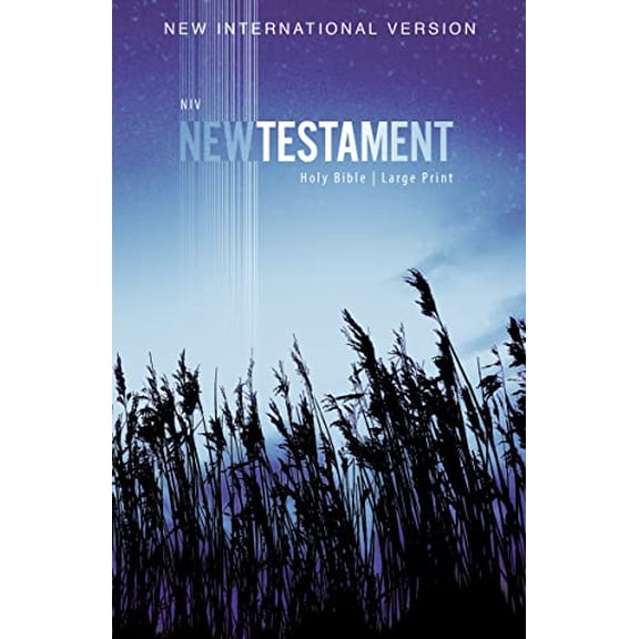 Pre-Owned NIV, Outreach New Testament, Large Print, Paperback (Paperback) 0310446430 9780310446439