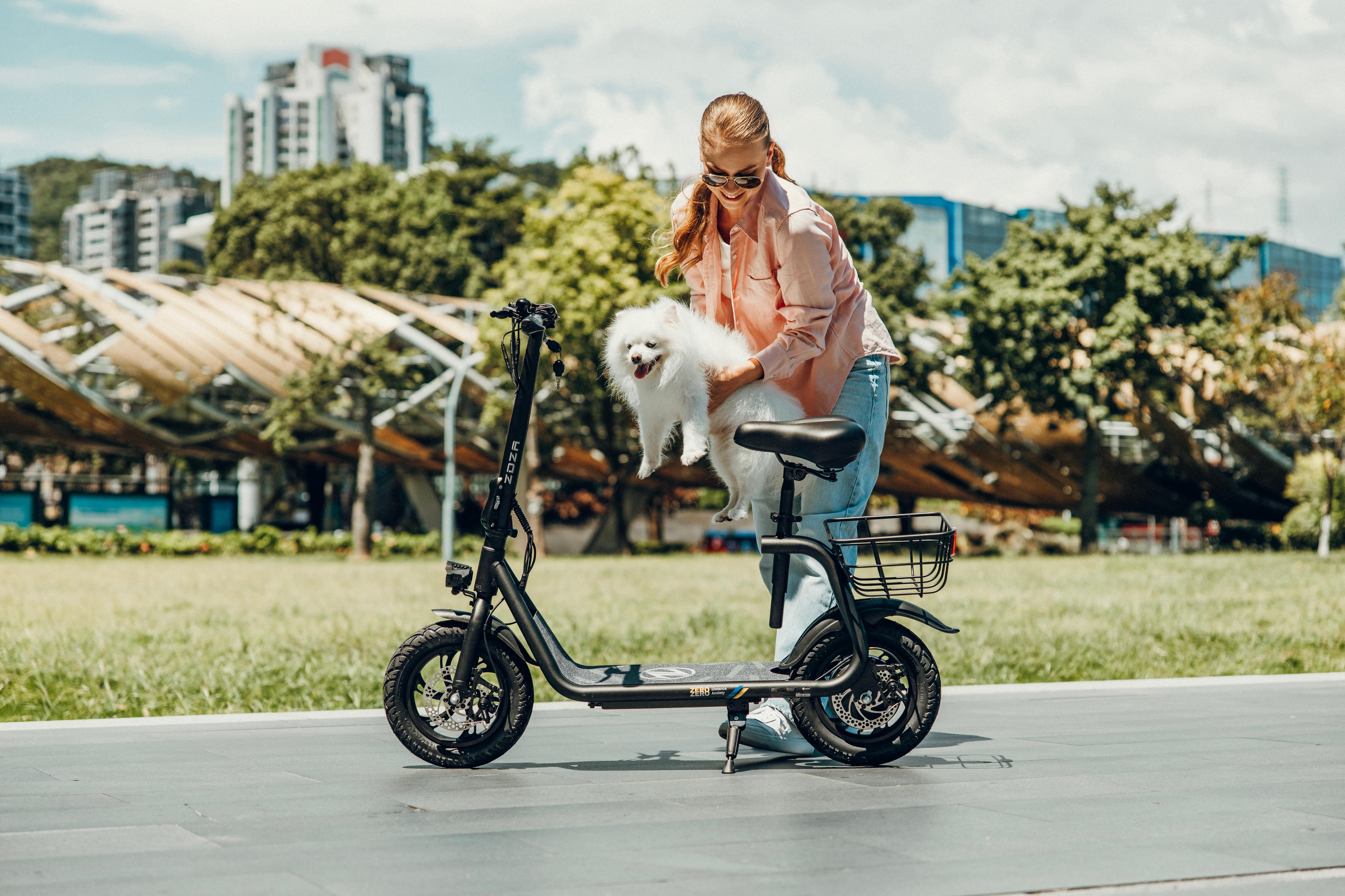 ZDZA Electric Scooter with Seat 750W Peak Motor with Carry Basket, 20Miles 15.5mph Foldable 12" E Scooter for Commuting, UL 2272