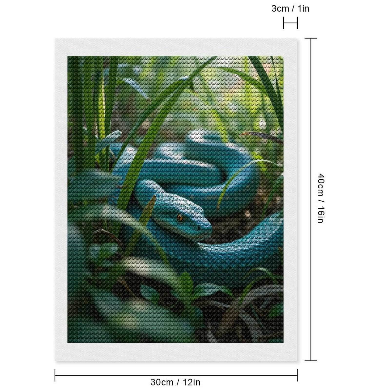 Diamond Art Kits for Adults, Turquoise Snake In Lush Grassland 5D Diamond Painting Kits for Adults Beginners, DIY Full Drill Diamond Painting, Gem Art and Crafts 12x16