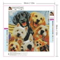 thumbnail image 5 of Graflsoa 5D DIY Diamond Painting Kit - Create Your Own Pet Dog Artwork with Resin Rhinestones, 12x12 Inch Canvas, Includes Tools for Crafting Fun, 5 of 5