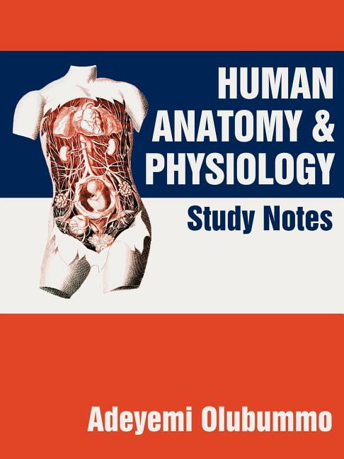 Human Anatomy And Physiology : Study Notes (Paperback) - Walmart.com ...