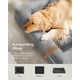 thumbnail image 4 of Feandrea Cama para Perros, Cama Ortopédica para Perros, Cama para Perros Grande, Impermeable, Funda Lavable Extraíble, Sofá para Perros con Fondo Antideslizante, Bordes Elevados, 42 x 32 x 8 Pulgadas,, 4 of 5