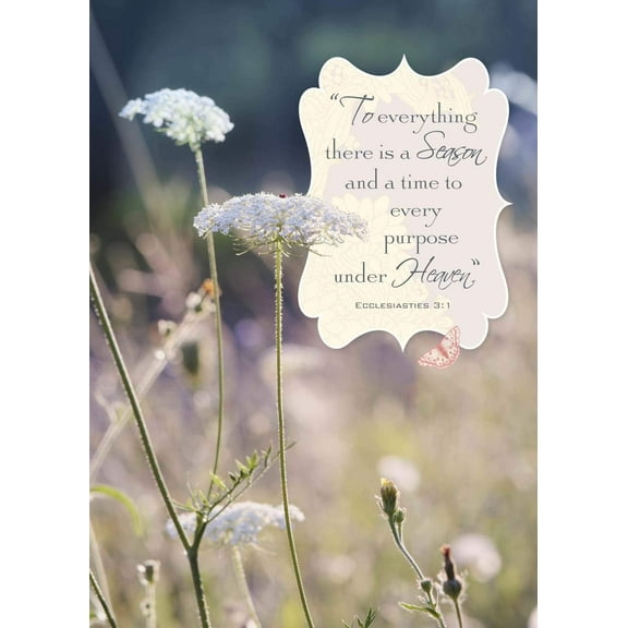 Sympathy Greeting Card (5x7) by Paper Street | 3 Pack 3 Envelopes (A Time and Season)