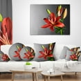 thumbnail image 4 of Designart Cute Red Lily Flower over Black - Flowers Throw Pillowwork - 12x20, 4 of 5