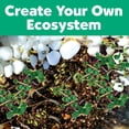 thumbnail image 6 of Creativity for Kids Grow 'N Glow Terrarium Kit - Capybara Spring Crafts | Educational Science Kits, Kids Gifts for Boys and Girls, STEM Projects (Ages 6+), 6 of 9