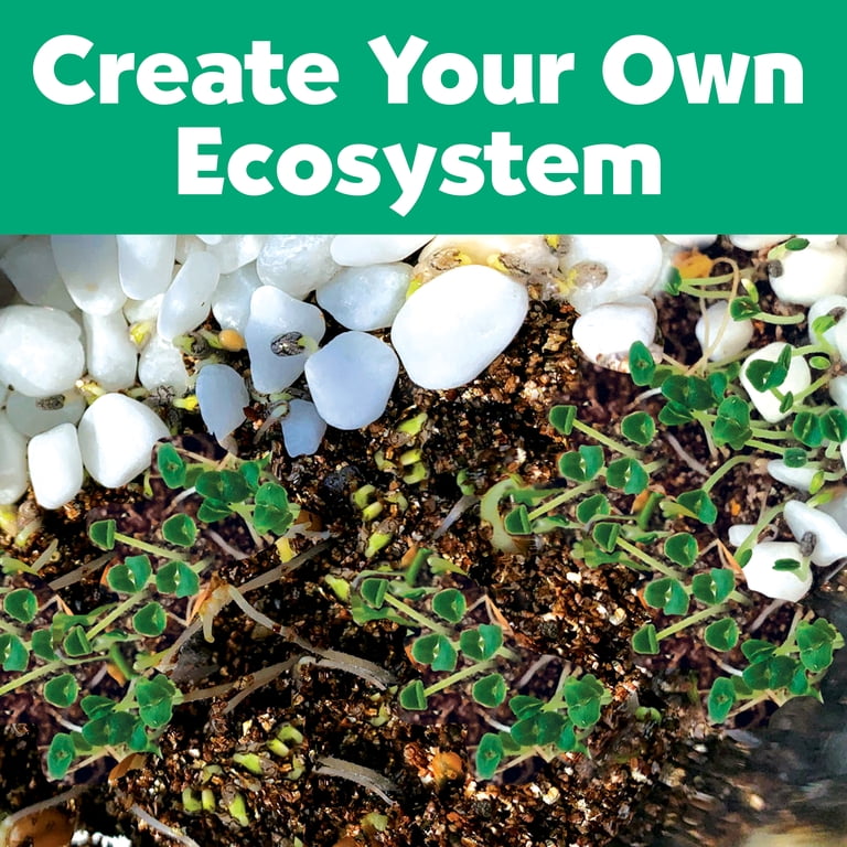 Creativity for Kids, STEM Science Kit, Grow 'N Glow Terrarium