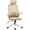 Khaki, variant on REKHH Ergonomic Office Chair, High Back Desk Chair with Headrest and Flip-up Armrest Lumbar Support for Home Office Meeting Room Study, Khaki